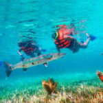 Cancún: Puerto Morelos Reef Snorkeling Tour & Seaside Lunch - What You’ll Love About This Tour