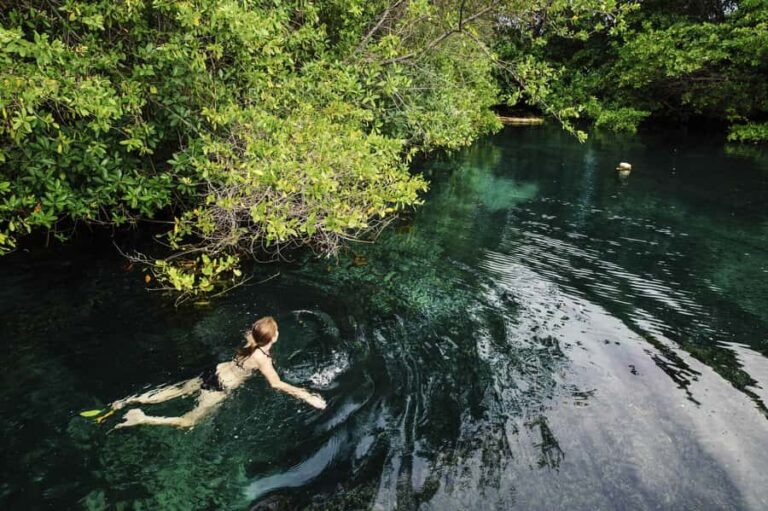 Cancun: Quad biking, zip lines, and swimming in a jungle cenote - The Details That Matter