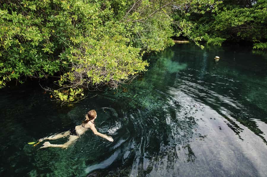 Cancun: Quad biking, zip lines, and swimming in a jungle cenote - The Details That Matter