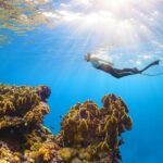 Cancun: Snorkeling Adventure at Puerto Morelos Reef - Snorkeling in the Mexican Caribbean