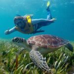 Cancun Snorkeling Adventure: Underwater Museum, Reef & Shipwreck - Who Will Love This Tour?