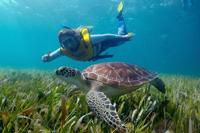 Cancun Snorkeling Adventure: Underwater Museum, Reef & Shipwreck - Who Will Love This Tour?