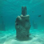 Cancun: Snorkeling Boat Tour with Gear - The Bottom Line: Who Should Consider This Tour?