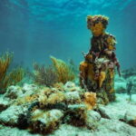 Cancun: Snorkeling Tour at MUSA The Underwater Museum - Key Points