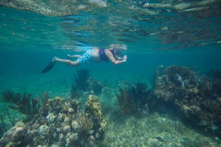Cancun: Snorkeling Tour with Hotel Pickup - The Experience: What You Can Expect
