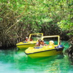 Cancun: Speedboat Mangrove Jungle & Snorkel Tour - The Experience: What Travelers Say