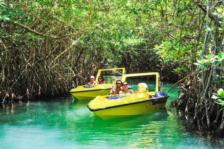Cancun: Speedboat Mangrove Jungle & Snorkel Tour - The Experience: What Travelers Say