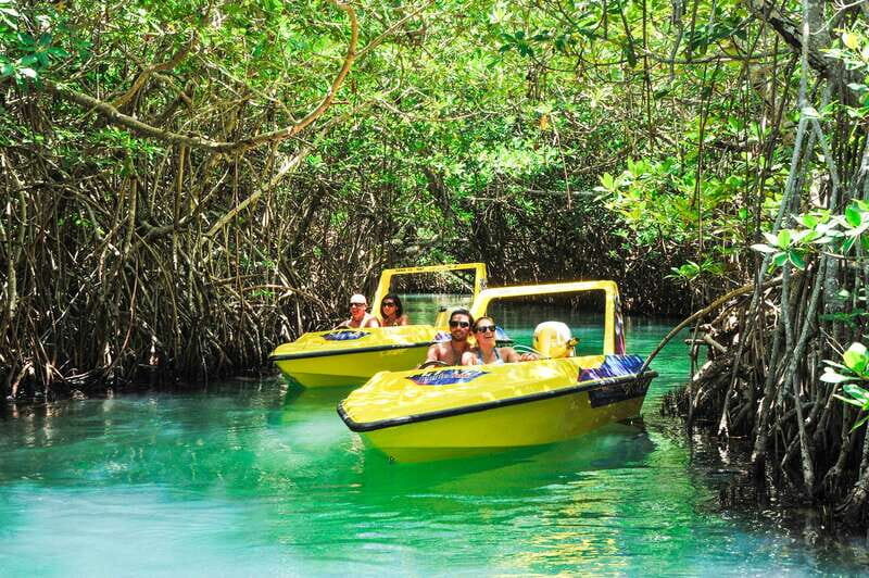 Cancun: Speedboat Mangrove Jungle & Snorkel Tour - The Experience: What Travelers Say