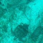 Cancun: Transparent Boat Tour with Soft Drinks - What Does the Tour Feel Like?