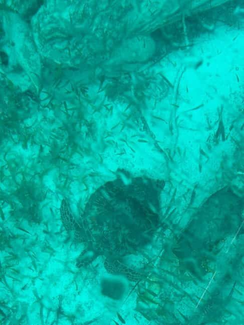 Cancun: Transparent Boat Tour with Soft Drinks - What Does the Tour Feel Like?