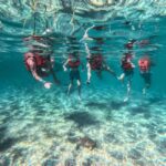 Cancun: Tulum Ruins, Akumal Turtles, Cenote & Caves Tour - Final Thoughts