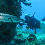 Cancún: Wreck and Reef for Certified Scuba Divers - What’s Included and What’s Not