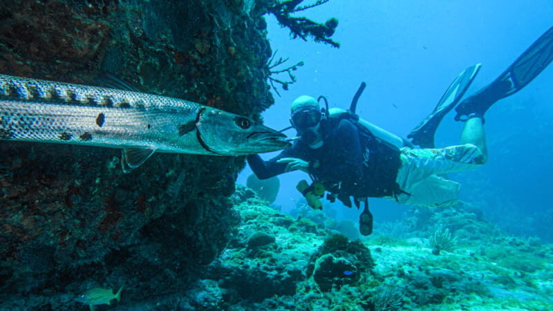 Cancún: Wreck and Reef for Certified Scuba Divers - What’s Included and What’s Not