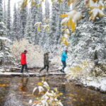 Canmore: Explore Winter Wildlife Tracks - 2hr Nature Walk - How the Tour Is Structured