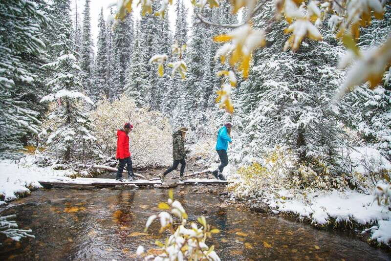 Canmore: Explore Winter Wildlife Tracks - 2hr Nature Walk - How the Tour Is Structured