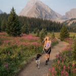 Canmore: Medicinal and Edible Plants, 2-hour Nature Walk - Setting the Scene