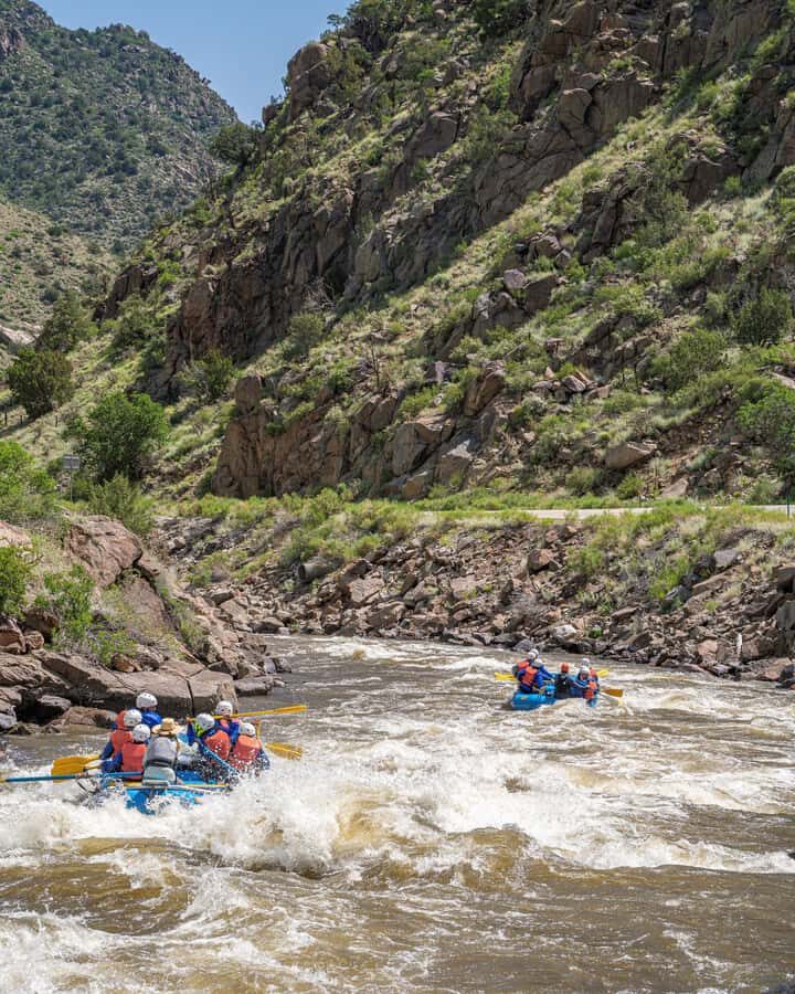 Cañon City: Half-Day Bighorn Sheep Canyon Rafting Tour - Price and Value