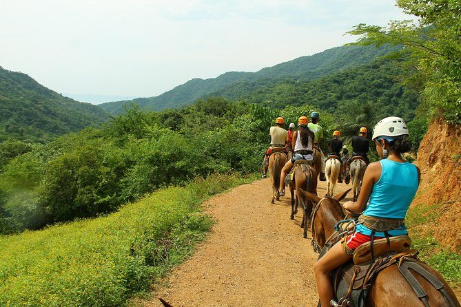 Canopy River Zipline Tour and Mule Ride - What to Expect from the Canopy River Zipline and Mule Ride