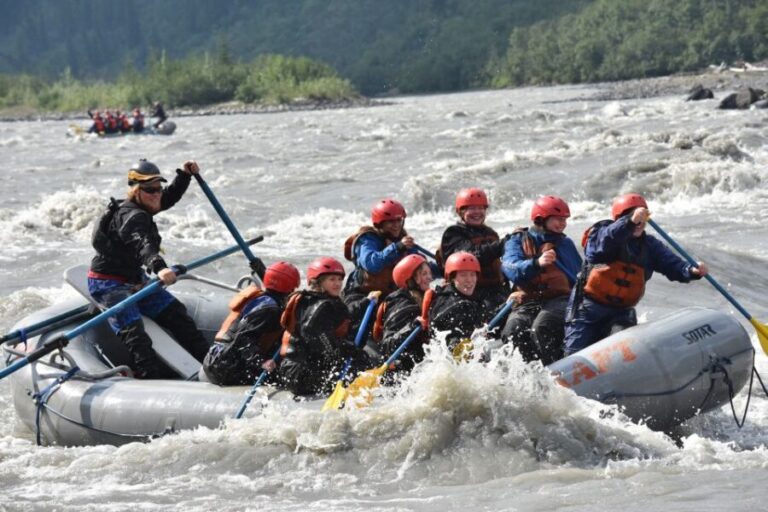 Canyon Run: Denali National Park Class IV Whitewater Rafting - Who Will Love This Tour?