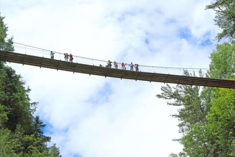 Canyon Sainte-Anne: Park Admission Ticket - The Highlights That Make It Special