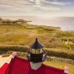 Cape May: Weekend Whale and Dolphin Watching Cruise - Authentic Experiences and Tips from Travelers