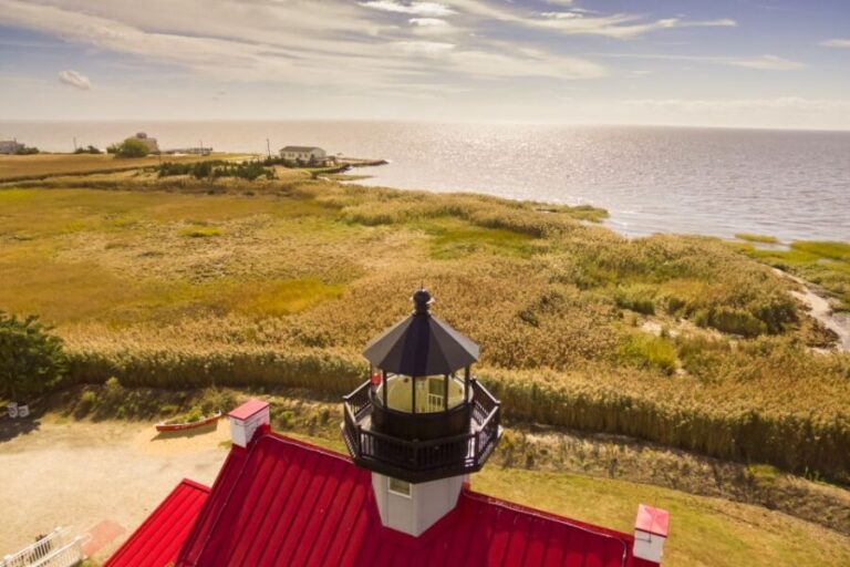 Cape May: Weekend Whale and Dolphin Watching Cruise - Authentic Experiences and Tips from Travelers