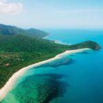 Cape Tribulation, Mossman Gorge and Daintree Rainforest Day Tour - What Travelers Say
