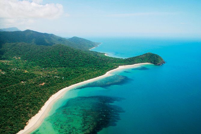 Cape Tribulation, Mossman Gorge and Daintree Rainforest Day Tour - What Travelers Say
