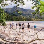 Cape Tribulation & Ziplining: Ultimate Daintree - Is It Worth the Price?