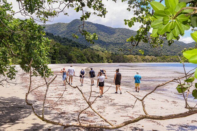 Cape Tribulation & Ziplining: Ultimate Daintree - Is It Worth the Price?