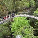 Capilano Br+Grouse Mtn+Dam+Lake+Hatchery/5in1CarTour+Small Group - Authentic Insights from Travelers