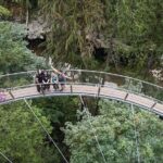 Capilano Suspension Bridge, Lynn Canyon & Capilano Hatchery Tour - Who Is This Tour Best For?