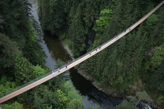 Capilano Suspension Bridge Park Ticket - Practical Tips for Your Visit