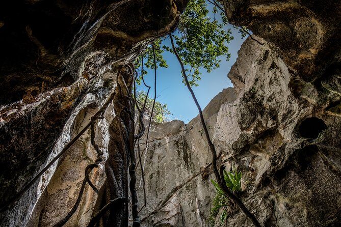 Capricorn Caves Capricorn Explorer - What Travelers Say