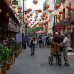 Car rental with private driver, know Mexico City - The Ride and the Routes: What to Expect