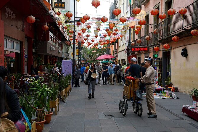 Car rental with private driver, know Mexico City - The Ride and the Routes: What to Expect