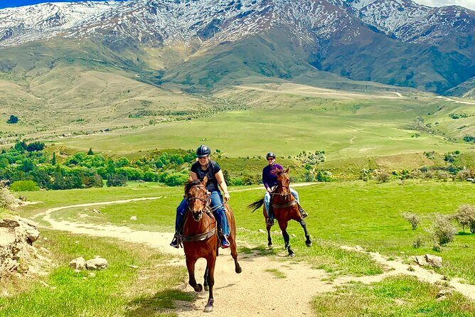 Cardrona High Country Pub Trail Horse Trek (Intermediate level+) - What to Expect from the Itinerary