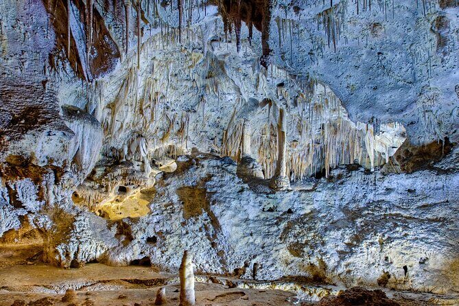 Carlsbad Caverns Self-Guided Walking Tour (Not a ticket) - Price & Value