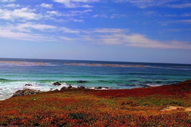 Carmel / Monterey Hwy 1 tour - Final Thoughts