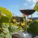 Carmel Valley Wine Tasting Tour - Who Will Love This Tour?