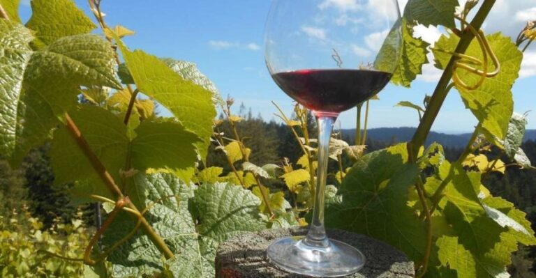 Carmel Valley Wine Tasting Tour - Who Will Love This Tour?