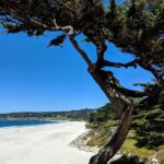 Carmels Hidden Gems Discovery Walk & Self-Guided Tour - Practical Considerations