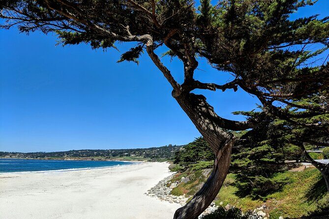 Carmels Hidden Gems Discovery Walk & Self-Guided Tour - Practical Considerations