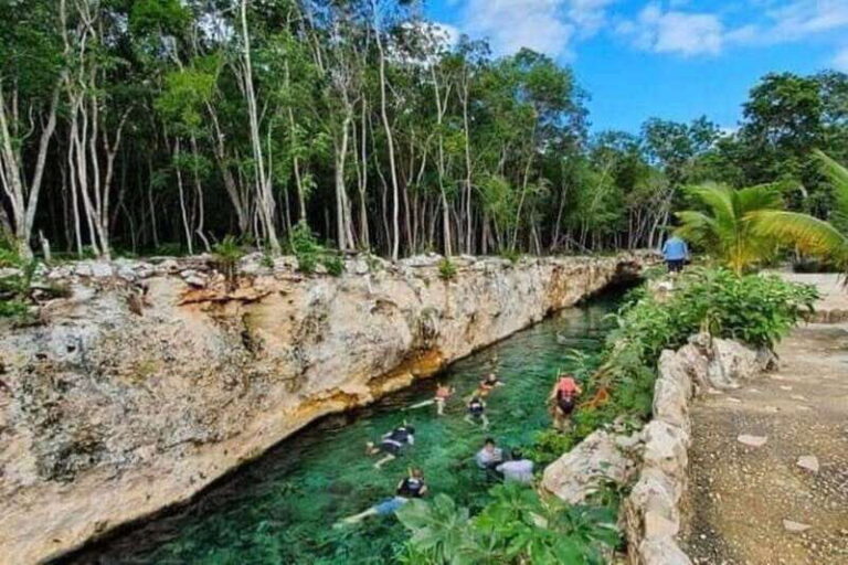 Casa Tortuga Park: Cenote Tour - The Realities of the Tour