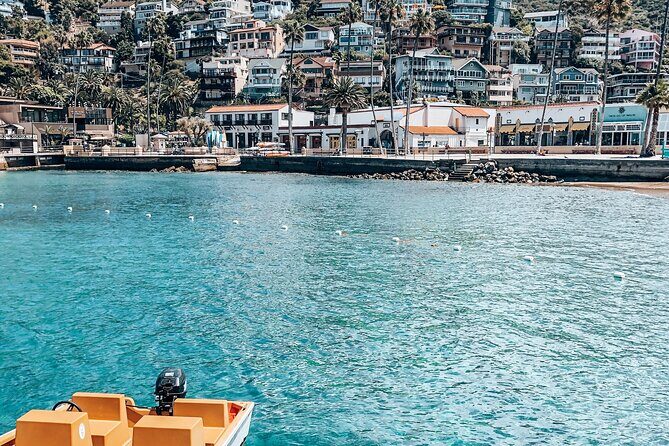 Catalina Island Avalon Highlights Walking Tour - Is This Tour Worth It?