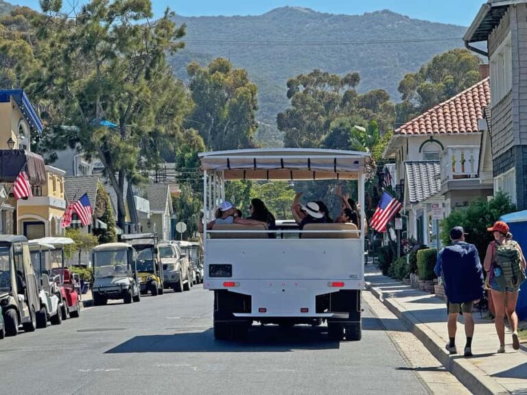 Catalina Island City & Scenic Mt. Ada Tour - The Value for Money