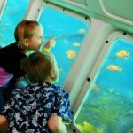 Catalina Island Day Trip from LAX area hotels with Undersea Adventure - Who Should Consider This Tour?