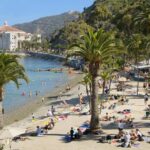 Catalina Island w/Discover Avalon Scenic Tour & Hotel transfers - Considering the Cost and Value