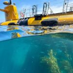 Catalina Island: Yellow Semi-Submarine Cruise - The Itinerary and What Makes It Special
