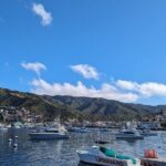 Catalina Scavenger Hunt Walking Tour and Game - Practicalities and Tips